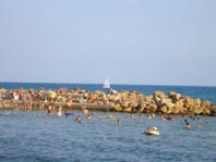 Swimming